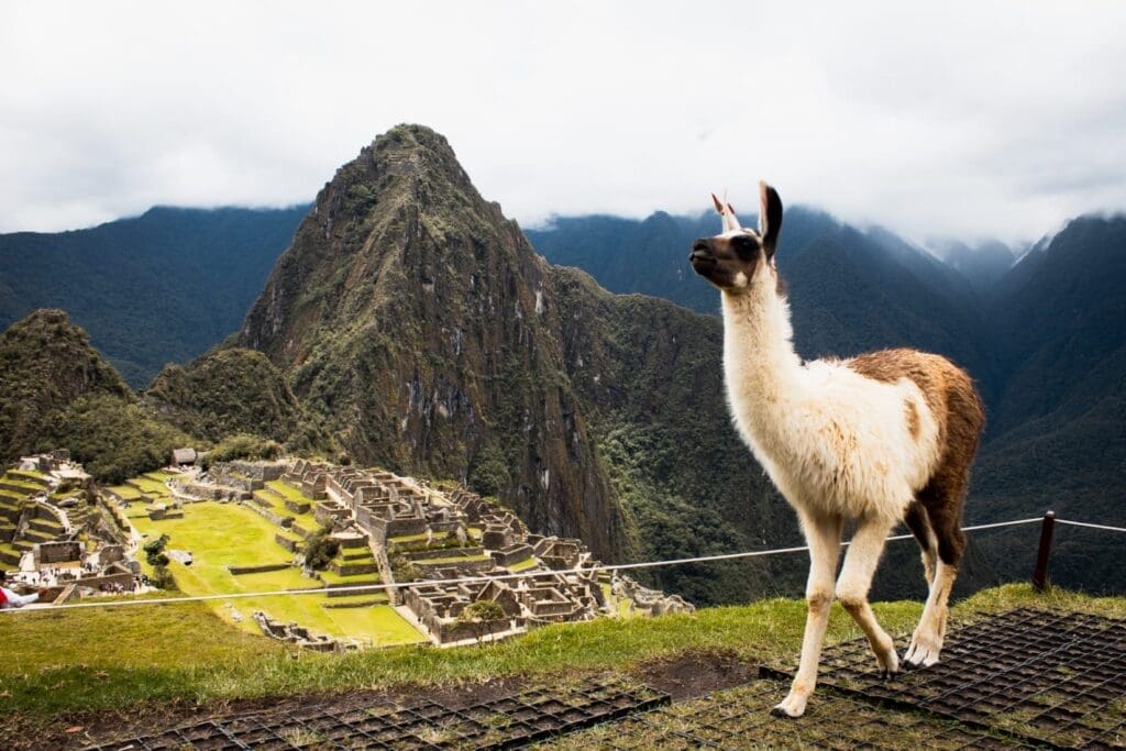 best-hike-to-machu-picchu