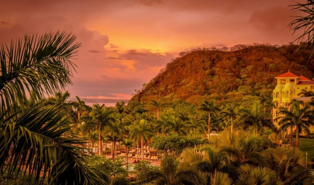 tropical palm trees a Costa Rican building during a sunset