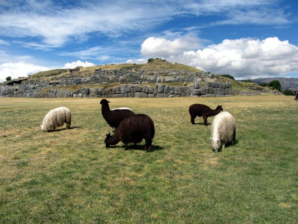 inca-trai-peru