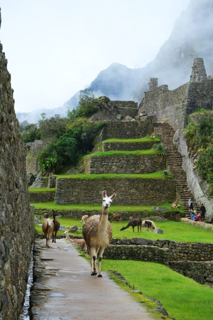 inca-trail-trek