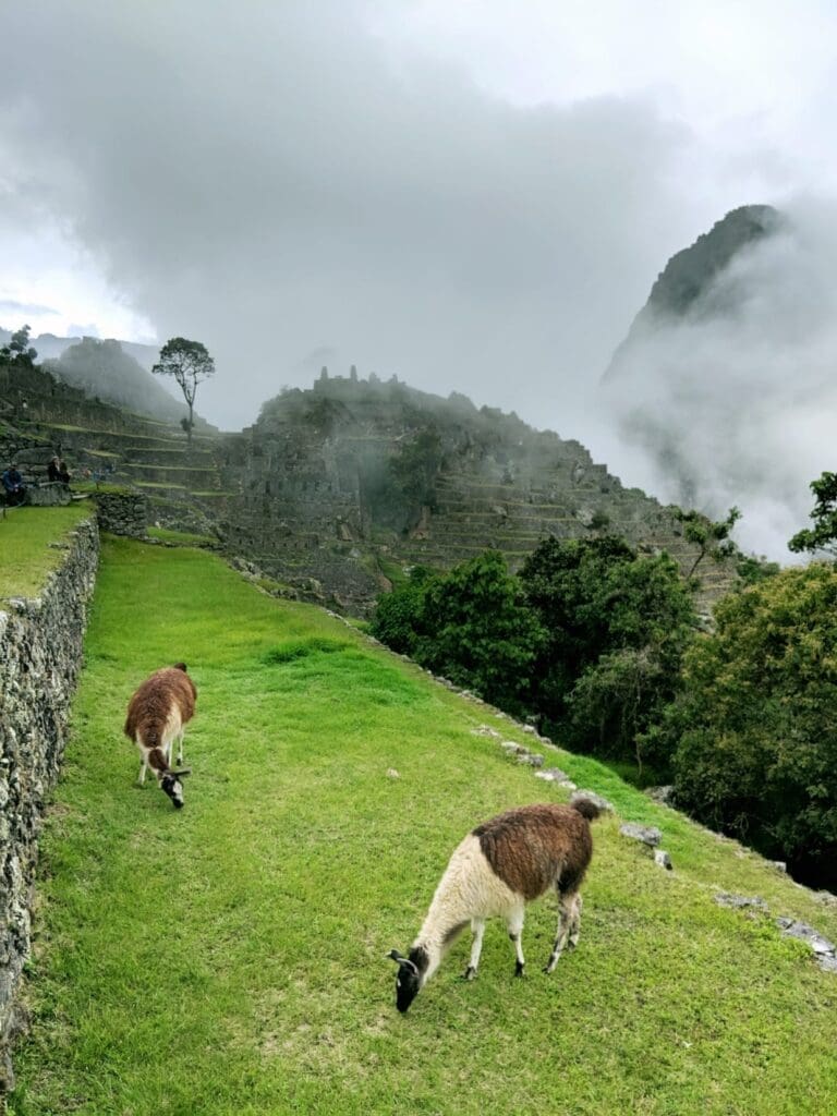 permits-for-the-inca-trail