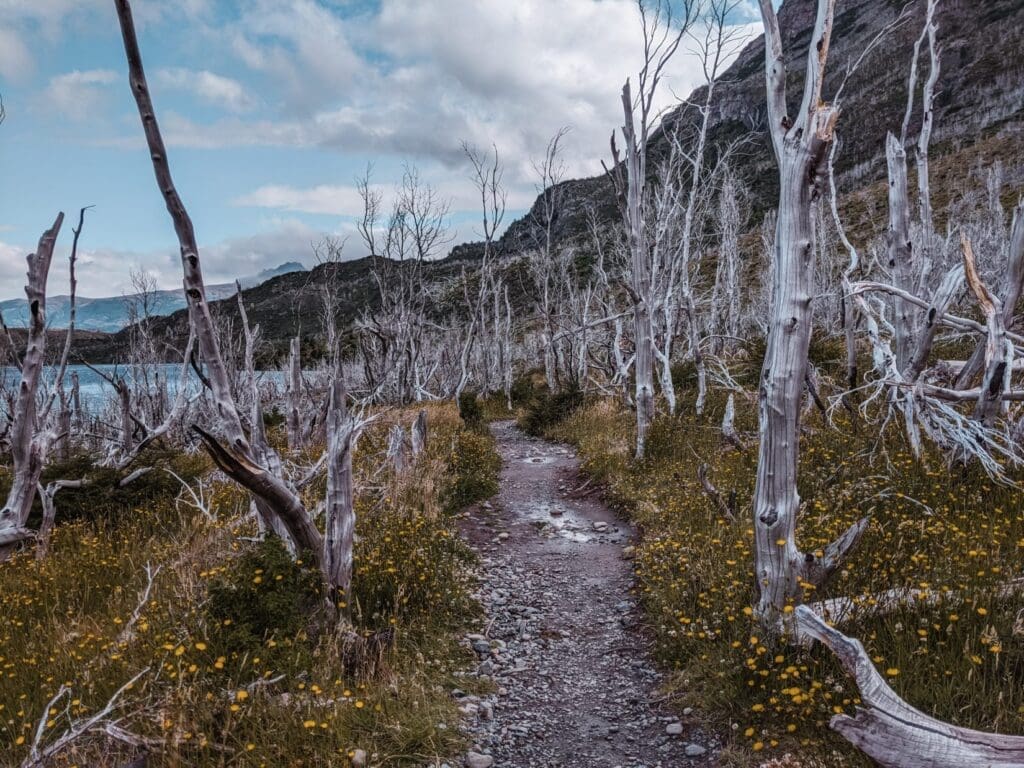 hiking-torres-del-paine