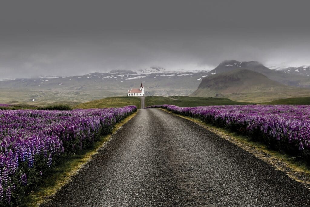 westfjords-places-to-visit