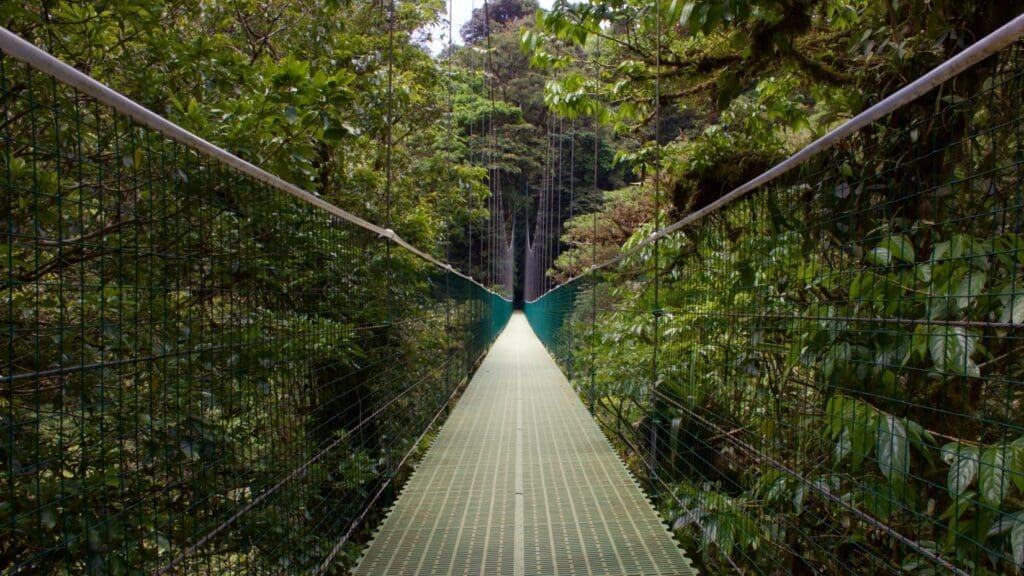 A suspension bridge guides you through Costa Rica’s biodiversity