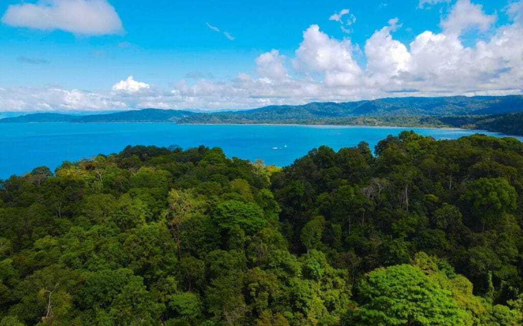 Bright blue water in bay surrounded by lush rainforest in Costa Rica