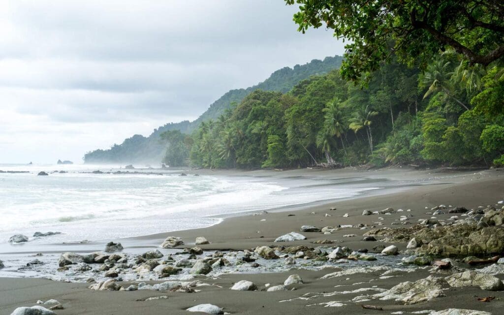 Misty waves on rocky beach surrounded by rainforest in Corcovado National Park